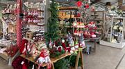 Top 25 garden centre departments: EPOS data December 2025